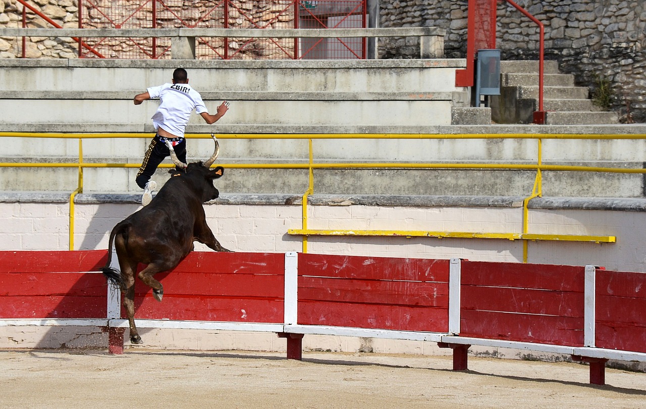 站点
