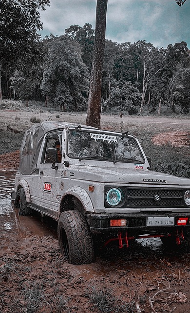 可能导致被 可能导致被