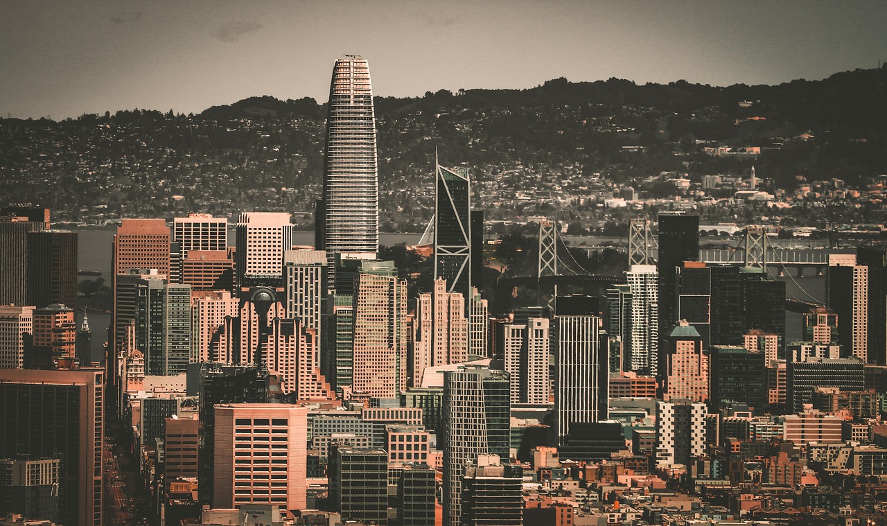 也反映出狼 也反映出狼