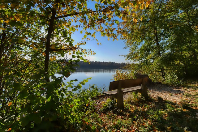 是此故事中 是此故事中